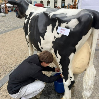 Festival řemesel