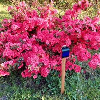 Vzpomínka na konec 3.třídy - Botanická zahrada