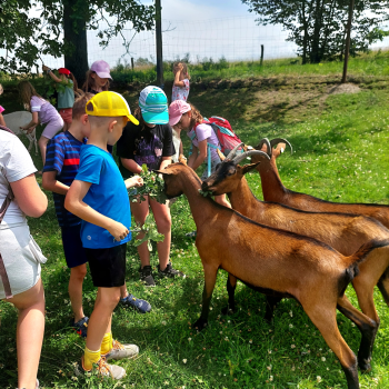 Vzpomínka na konec 3.třídy - Výlet na Frýdlant