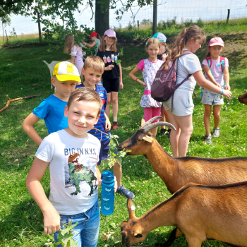 Vzpomínka na konec 3.třídy - Výlet na Frýdlant