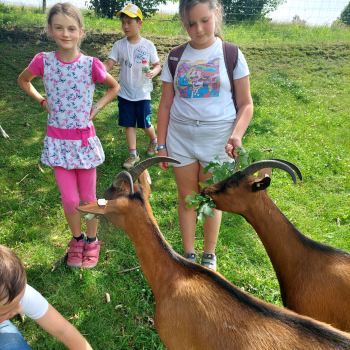 Vzpomínka na konec 3.třídy - Výlet na Frýdlant