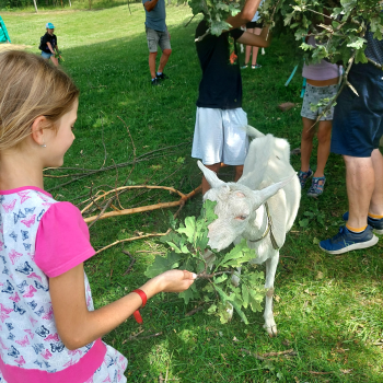 Vzpomínka na konec 3.třídy - Výlet na Frýdlant