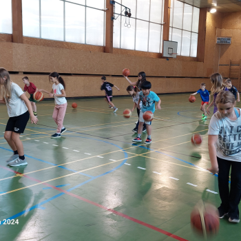 Trenéři ve škole - basketball