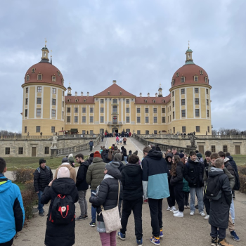 Popelčin zámek v Moritzburgu a vánoční Pirna (Krousová)